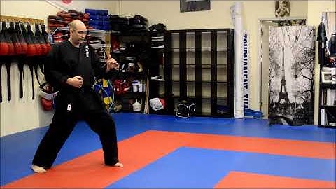 Front Punch to reverse punch, step through reverse punch