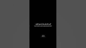 تلاوه خاشعه من خالد الجليل سوره القيامه #القرآن_الكريم