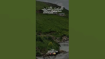 #يحيى_الأركاني #اكسبلور #راحة_نفسية #سورة_التوبة
