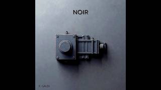 F. Galdi - Noir