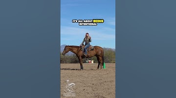 You can Only do the Basics Better.   #reining #reiningmasterclass #nrha