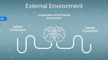 External environment  part 1
