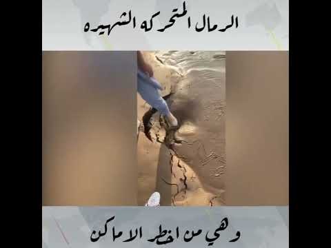 اخطر الأماكن الرمال المتحركه