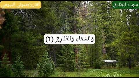 سورة الطارق القارئ متولي البيومي