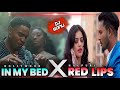 Red lips x in my bed remix 2022 best remix dj sonu production jamshedpur