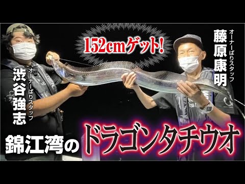 152cmゲット！錦江湾のドラゴンタチウオ