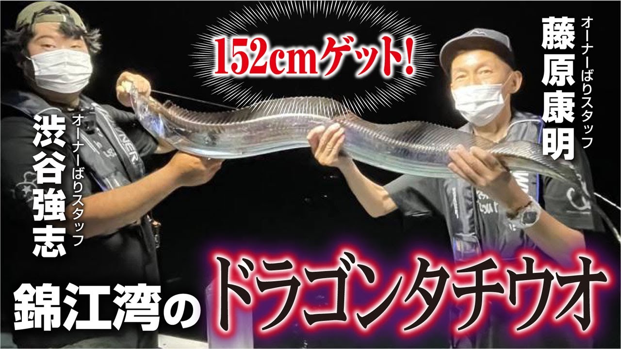152cmゲット！錦江湾のドラゴンタチウオ - YouTube