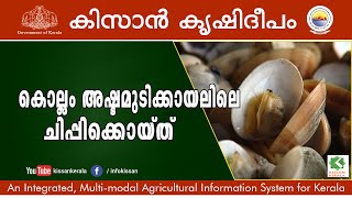 Documentary on Cultivation of Mussel at Ashtamudi kayal, Kollam - 616