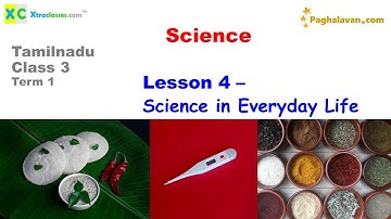 TN Samacheer -Class 3 (2021-22) Materials - Term 1 - Science - Lesson 4- Science in Everyday Life