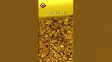 Что нам продают в магазине?! Куча жуков в крупе🕷!