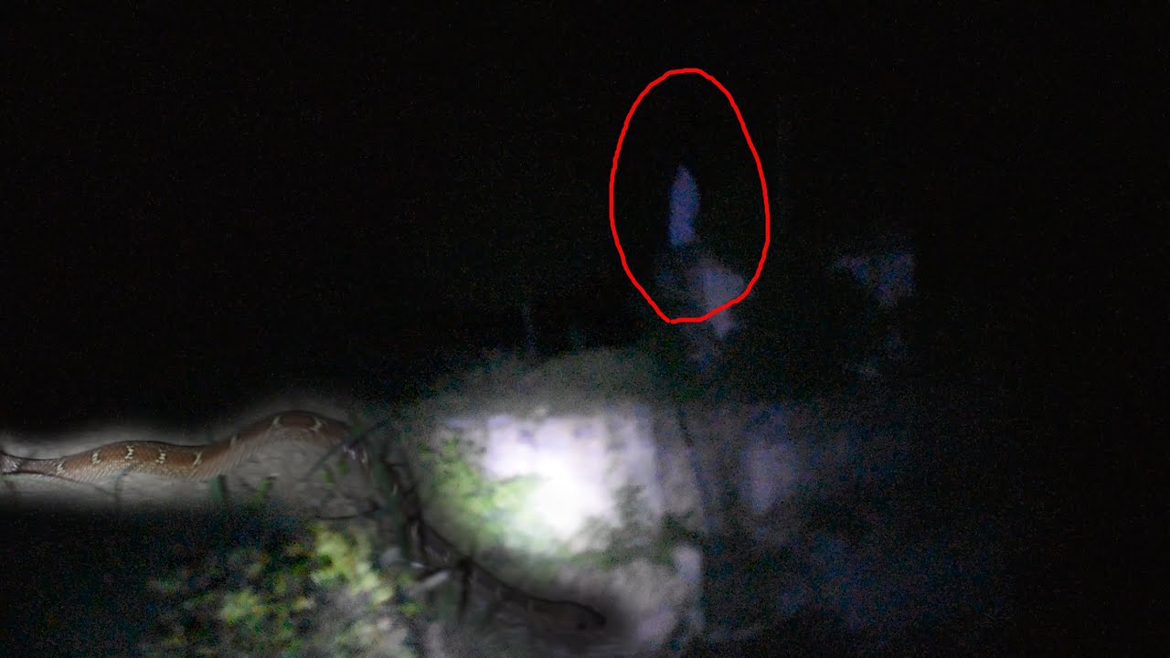 Real snake ghost Well live Agri place horror-talk to trending - YouTube