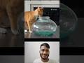 what a funny 🐈#funny #shorts