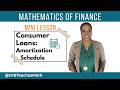 Amortization Schedules: Payments, Principal, Interest, and Remaining Balance Explained