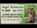 Day - 08-ii theory  ✳️කෘෂි ආර්ථික විද්‍යාව✳️ - v කොටස 〽️