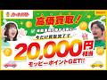 【カーネクスト】どんな車も高価買取!!知らないと損する自動車税のマメ知識も徹底解説！今ならポイント高還元中【ダイジェスト】