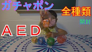 ガシャポンミニチュアＡＥＤ