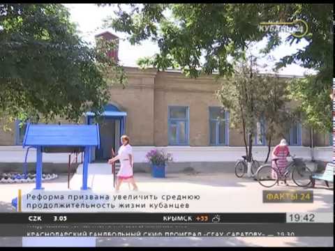 «Факты 24»: перебои с электричеством в Краснодаре, пик цветения амброзии
