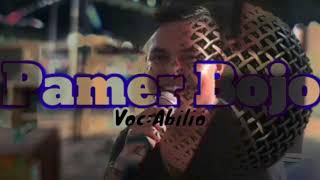 Dangdut (Pamer Bojo)#cover Abylio