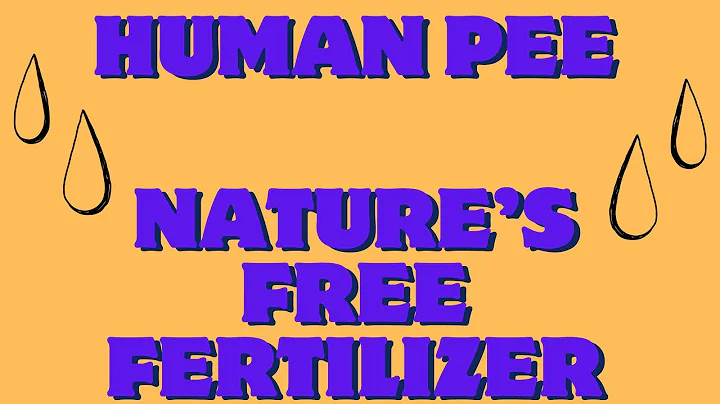 Urine Fertilizer: The Miracle Liquid Gold That Grows Anything