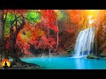 🔴 Study Music 24/7, Meditation, Concentration Music, Focus, Yoga, Relaxing Music, Calm Music, Study