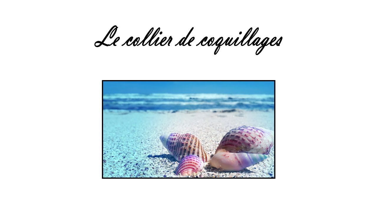 Collier Grand Format En Coquillages - Style Polynésien Naturel - Neuf (sans Son Emballage D'origine)