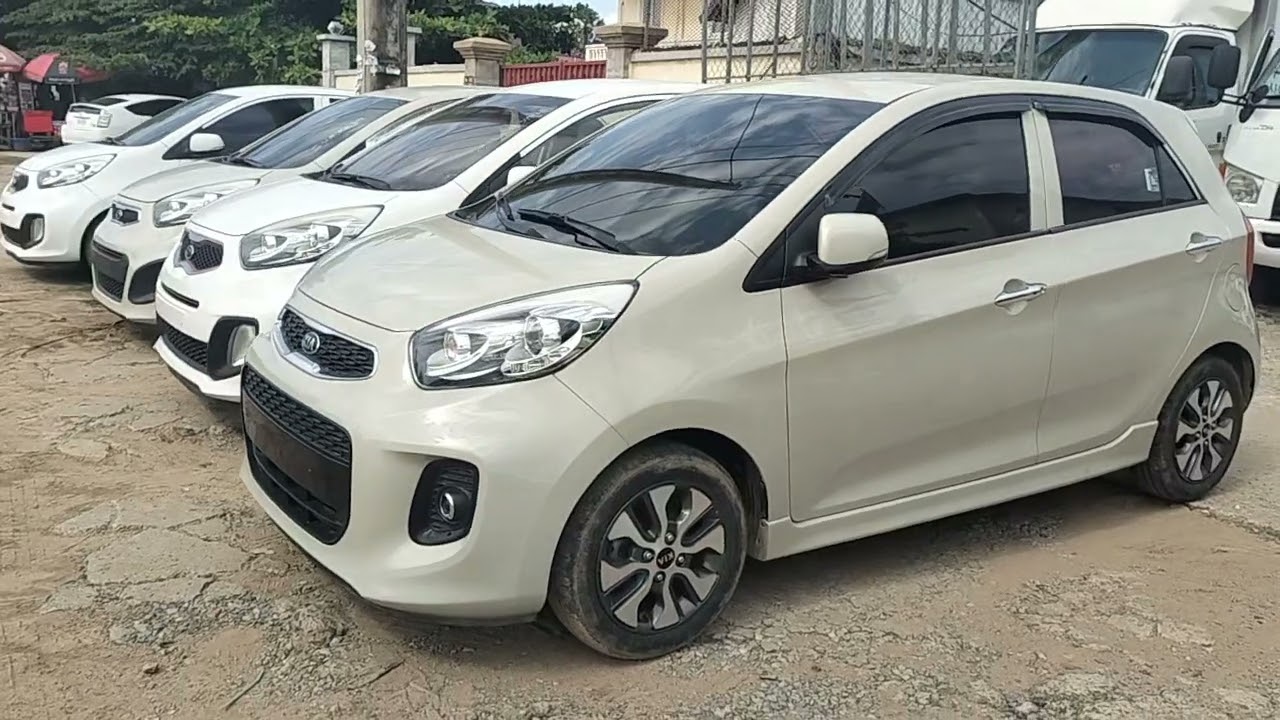 ត្រកូលគាម៉ូនិងទើបចូលស្តុក។ មិនទាន់រៀបចំ