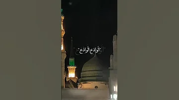 الوداع الوداع يارسول الله الوداع الوداع يامحمد الوداع ضجت اليوم المدينه والدموع تنادي 