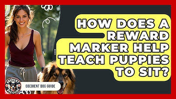 How Does A Reward Marker Help Teach Puppies To Sit? - Obedient Dog Guide