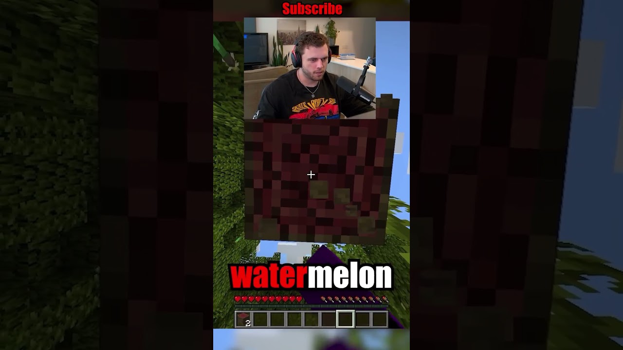 Minecraft, but if I say a block it’s DELETED