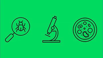 SEB Biodiversity Video