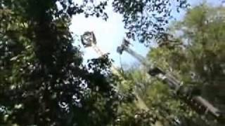 Erecting Raptor Nesting Platform