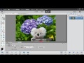 Photoshop Elements 15 基本：選択ツールのオプション｜Lynda.com 日本版