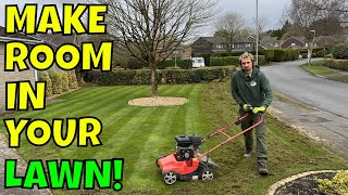 Get RID of MOSS in your LAWN / Low Budget Lawncare