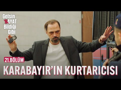 Video: Neden Bir Kurtarıcıdan Safkan Almalı?