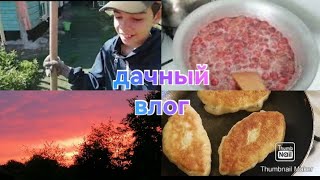 Сильный ветер сломал дерево / Пирожки с крапивой / Как укоренить розу /Закоптили рульку / Варенье 🍓