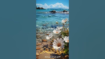 ولو يواخد الله الناس بظلمهم سورة النحل الاية 61 بصوة عبد الرحمن مسعد #قرآن #سورة_النحل