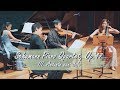 Schumann Piano Quartet in E flat Major, 3rd movement | More than Music
