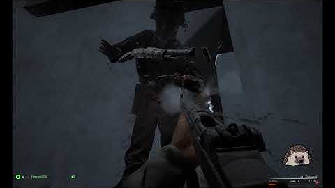 Post Scriptum   About M1 Garand