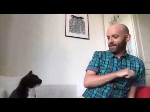 Cat Attacks Man During Livestream Police Respond Immediately Youtube