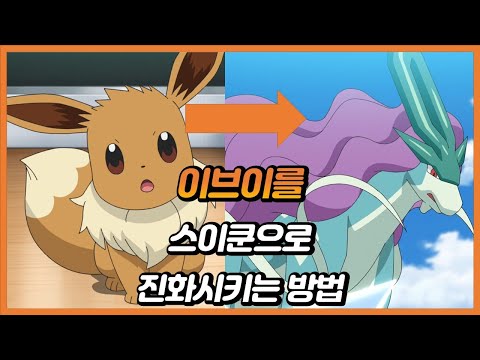 전설의 포켓몬으로 환생한 이브이들