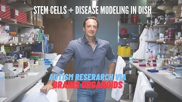 Stem Cells and Disease Modeling in a Dish, Autism Research via Brain Organoids