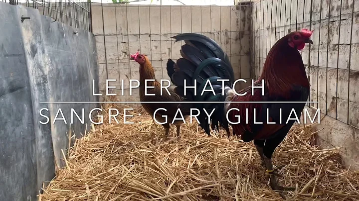LEIPER HATCH/ GARY GILLIAM