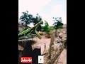 Mfahamu Vunja Jungu 
