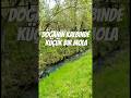 #shorts #doğa #huzur #susesi #natureasmr #manzara #doğal #italy #keşfetteyiz #keşfet #shortvideo