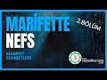 Marifet Sohbetleri | Marifette Nefs - 2. Bölüm