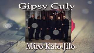 Miniatura de vídeo de "Gipsy Culy      Miro kalo Jilo     Cover GSB Band"