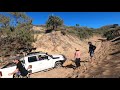 NO LIFT STRUGGLING NGKALA ROCKS FRASER ISLAND! PFL