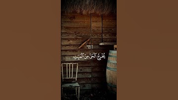 تلاوة محبرة للشيخ سيد سعيد #quran