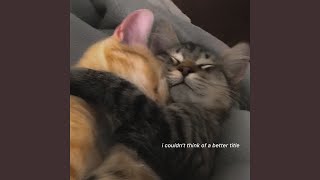 Download Lagu wind MP3