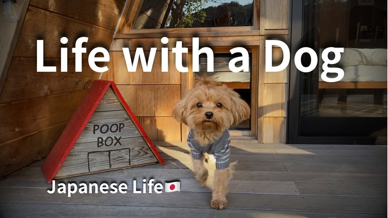 Traveling in Japan with My Dog | Calm & Simple Life